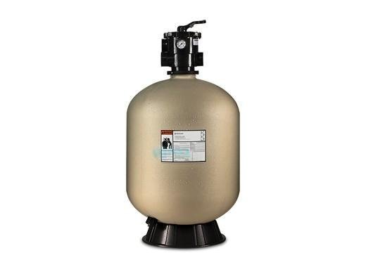 Pentair Sand Dollar SD60 Top Mount Sand Filter