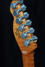 New Firefly FFTL Classic Plus Model Ash Wood Body Electric Guitar ( Sunburst Color) - Image 3