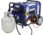 Ford 11,050 Watt Dual Fuel Portables Generators FG11050PBE