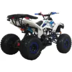 X-Pro 125cc Gass ATV - Image 3
