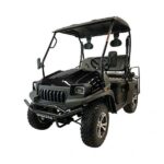 Homestead 200 HLG UTV, 4 Passenger, Black