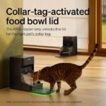 PETLIBRO RFID Automatic Cat Feeder - Image 3
