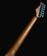 New Firefly FFST CLASSIC MODEL ELECTRIC GUITARS (Black Color) - Image 6