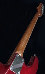 Firefly FFST CLASSIC MODEL ASH WOOD GUITAR BODY ELECTRIC GUITARS (SUNBURST Color) - Image 2