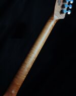 NEW Firefly FFTL Electric Guitar (Ghost Black Color) - Image 4