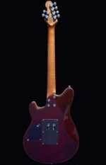 Firefly FFMN Electric guitar With Flamed Maple Top Floyd Rose Tremolo (Brown Color) - Image 5