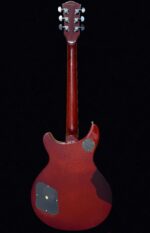 Firefly FFTC Solid Body Electric Guitar(Gold Color) - Image 5