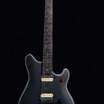 Firefly FFMN Electric Guitar With Flamed Maple Top Floyd Rose Tremolo (Matte Black Color)