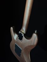 Firefly FFST CLASSIC MODEL ELECTRIC GUITARS (RoseWood Color) - Image 4