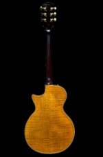 New Firefly  FFSP Semi Hollow Body Electric Guitar ( Transparent Brown Color) - Image 8