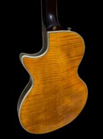 New Firefly  FFSP Semi Hollow Body Electric Guitar ( Transparent Brown Color) - Image 7