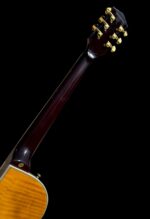 New Firefly  FFSP Semi Hollow Body Electric Guitar ( Transparent Brown Color) - Image 3