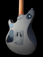 Firefly FFMN Electric Guitar With Flamed Maple Top Floyd Rose Tremolo (Matte Black Color) - Image 6