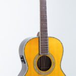 New Firefly G042-E Acoustic Guitar With Fishman Presys EQ