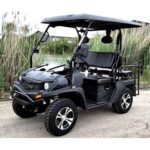 Linhai Big Hammer 200 GVX 200cc Gas Powered Side-by-Side Utility Cart with Custom Rims & Tires