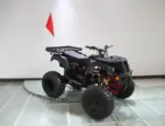 Rps 200cc Utiliity 169 cc ATV - Image 4
