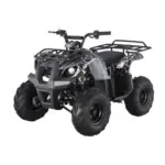 Tao Motors D125 Kids ATVs - Image 2