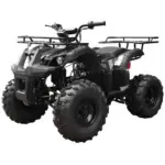 Tao T Forcee T125 Mid Size ATV - Image 4