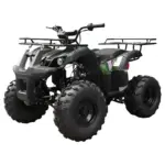 Tao T Forcee T125 Mid Size ATV - Image 2