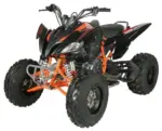 Vitaccii Pentora Racing ATV - Image 3